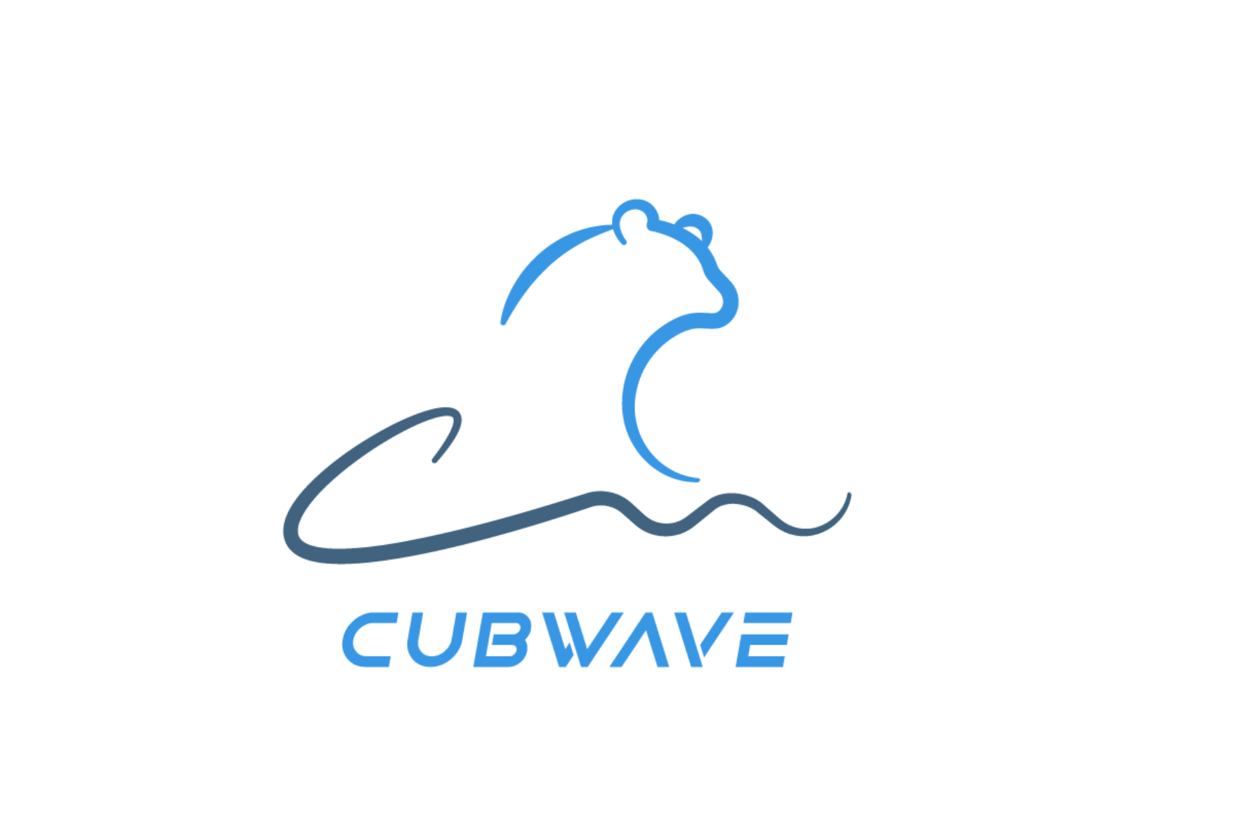 CUBWAVE MEDIA CORP